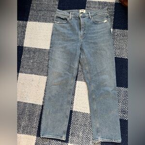 Agolde Wilder Jeans